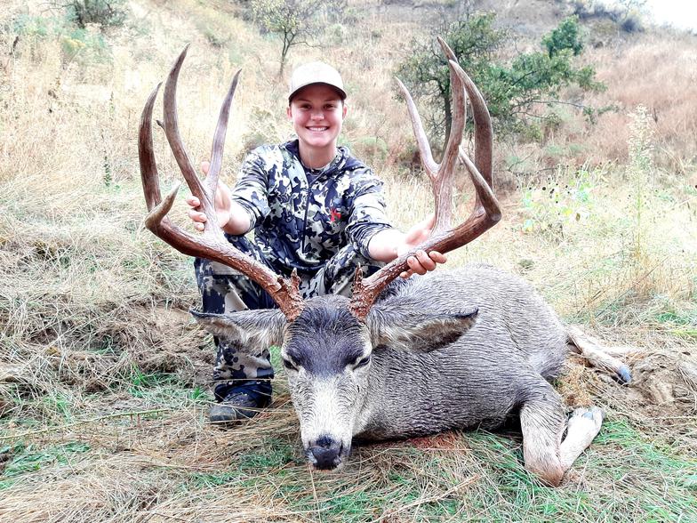 TrophyMuleDeer