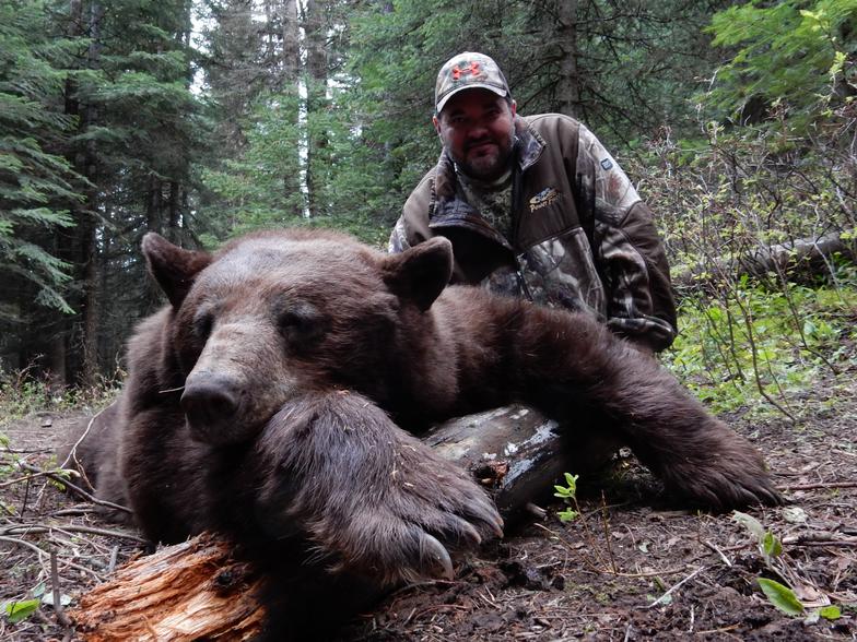 BearHunting